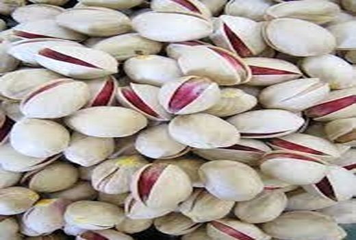 تولید 4000 تن پسته خشک در سروستان