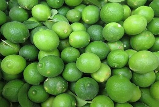 تولید بیش از 2 هزارتن لیمو ترش در شهرستان مهر 