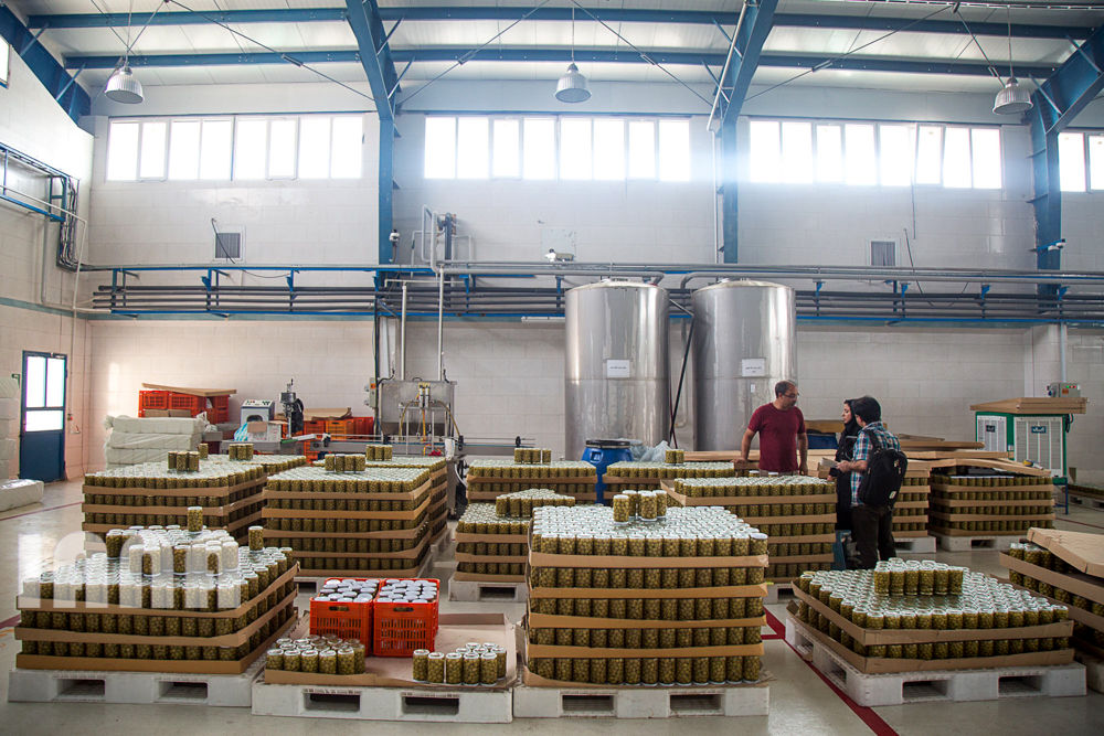 کشاورزی استان زنجان