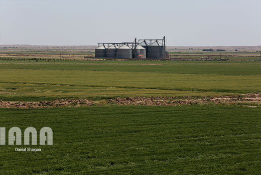 بانک‌ها زمین کشاورزی را وثیقه نمی‌دانند 