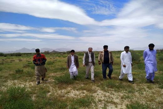 مبارزه با ملخ صحرایی در  108 هزار هکتار اراضی کشور انجام شده است