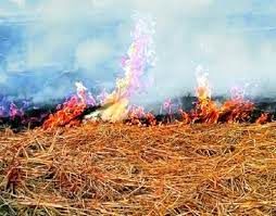  سهولت در عملیات خاک ورزی با حفظ بقایا در خرمشهر