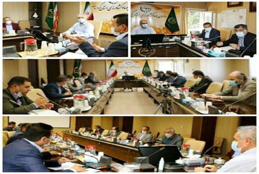 ۵۸۲ هزار هکتار از اراضی کشاورزی کردستان زیرکشت گندم می‌رود