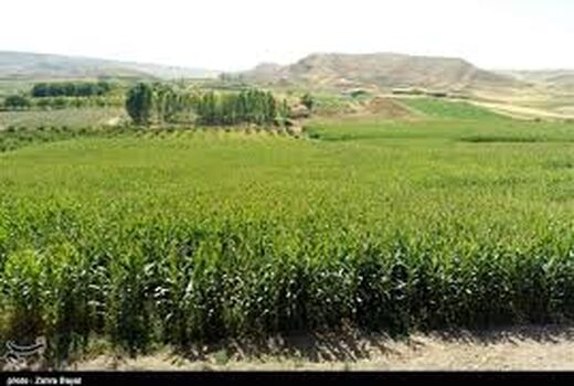 کشاورزان خراسان شمالی از اسید آمینه برای جلوگیری از سرمازدگی محصولات استفاده کنند