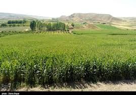 کشاورزان خراسان شمالی از اسید آمینه برای جلوگیری از سرمازدگی محصولات استفاده کنند