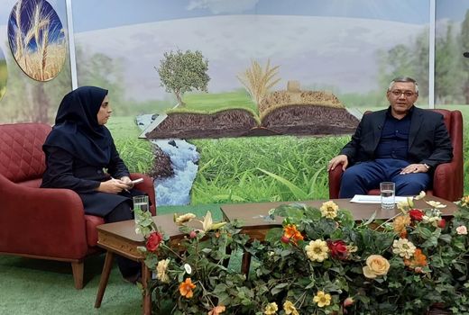 افزایش 33 درصدی جذب تسهیلات ادوات طرح جهش تولید در دیم‌زارهای آذربایجان شرقی 