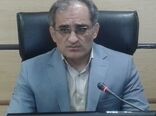 تولید بیش از ۱۹ هزار تن چغندرقند پاییزه در استان کرمانشاه