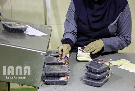 افتتاح طرح‌های اشتغالزای بخش کشاورزی جهرم 