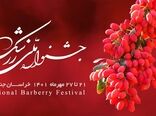آغاز جشنواره برداشت یاقوت سرخ