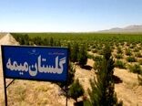 گلستان‌ میمه، فرصتی برای اشتغال و درآمد زایی