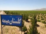 گلستان‌ میمه، فرصتی برای اشتغال و درآمد زایی