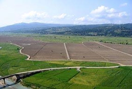 130 هکتار اراضی شالیزاری گلوگاه تجهیز و نوسازی شد