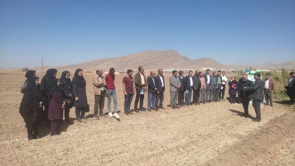 برگزاری هفتمین کاروان ترویج بهره‌وری کشت پاییزه در مرند