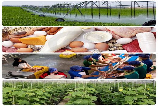 بهره برداری از 46 پروژه بخش کشاورزی استان یزد به مناسبت هفته جهاد کشاورزی