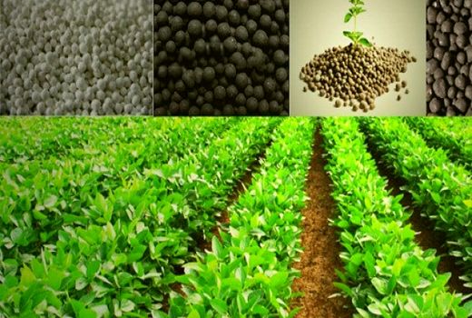 افزایش 14 برابر مصرف کودهای فسفاته و پتاسه در سالجاری در قم