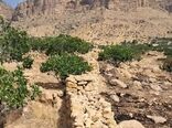 سهل‌انگاری، ۱.۳ میلیارد تومان خسارت بر جای گذاشت