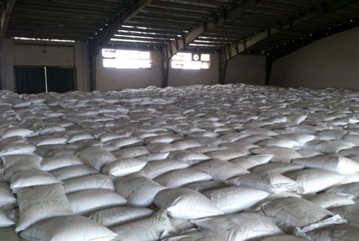 تأمین و توزیع 6 هزار و 495 تن انواع کودهای شیمیایی یارانه‌ای در استان البرز