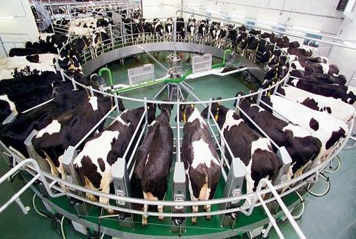 اختصاص سالانه 350 میلیارد تومان تسهیلات به مکانیزاسیون دام، طیور و آبزی‌پروری