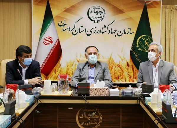 توجه دستگاههای نظارتی و امنیتی در مرزها قاچاق گوشت مرغ را به صفر رساند