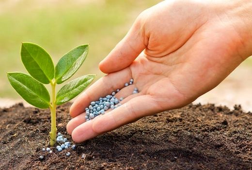 تامین 47  درصد برنامه ابلاغی کود کشاورزی  شهرستان ارومیه