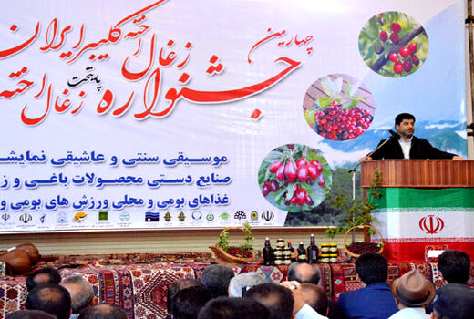 آذربایجان شرقی رتبه دوم تولید زغال اخته در کشور است