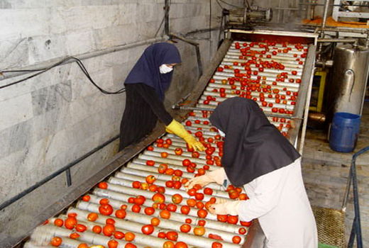 مناطق روستایی؛ هدف اصلی استقرار صنایع تبدیلی