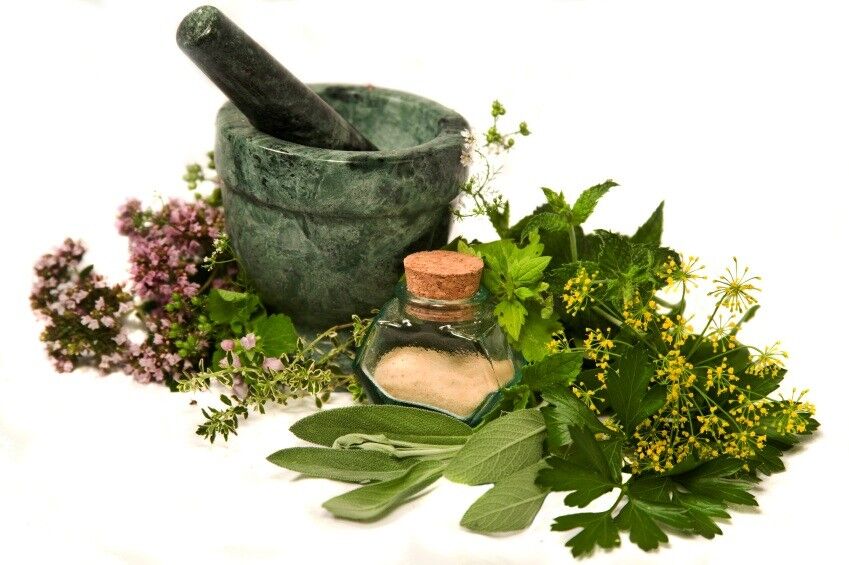 توسعه کشت گیاهان دارویی در هرمزگان/ فراهم‌ سازی شرایط صادرات گیاهان دارویی