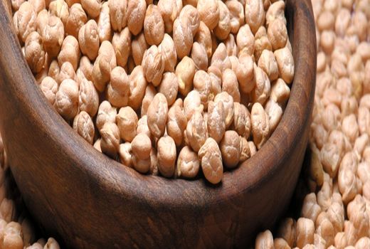 برداشت مکانیزه نخود قزوین