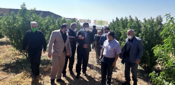 یک طرح آب و خاک در شهرستان تاکستان افتتاح شد