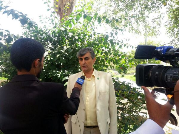 برداشت کلزا از مزارع جنوب کرمان