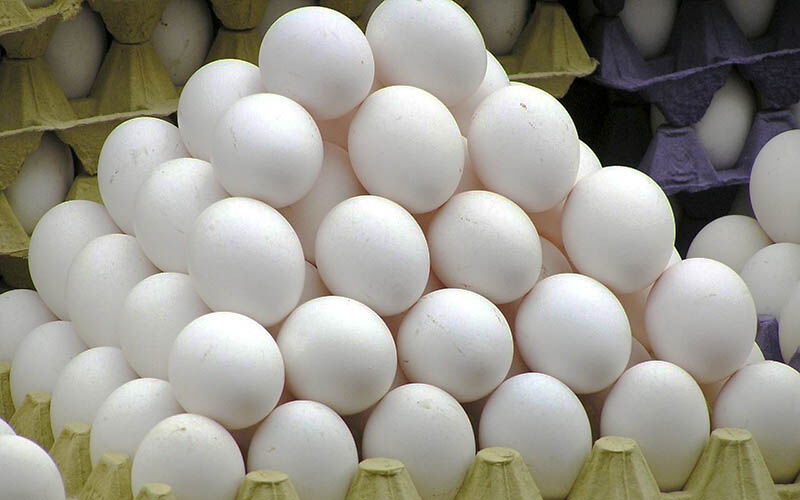 قیمت‌گذاری روی اقلام جلوی نوسان قیمت‌ها را می‌گیرد