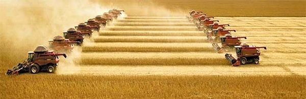 سهم تک‌رقمی بخش کشاورزی از تسهیلات و سرمایه‌گذاری/ سرمایه‌گذاری در کشاورزی همچنان در خم تک‌رقمی/ سهم 17 درصدی اشتغال کشاورزی در مقابل 32 درصدی صنعت و 50 درصدی خدمات