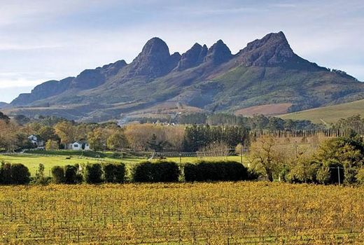 گردشگری کشاورزی در کشور دنبال می‌شود