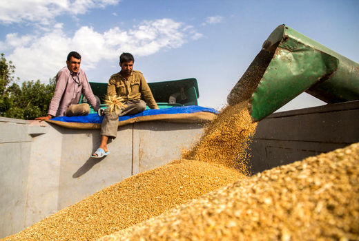  فرصت طلایی برای کشاورزی