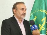 ۳۸۰ هکتار زعفران در استان لرستان وجود دارد