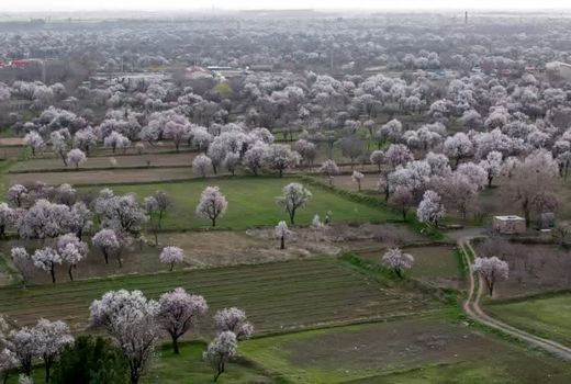 باغستان سنتی قزوین در نظام میراث جهانی ثبت شد
