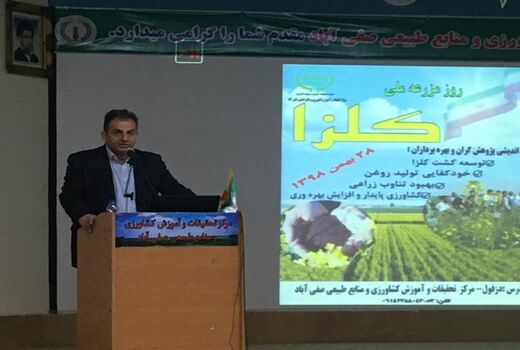 تعادل زراعی و افزایش تولید روغن ارمغان کشت کلزا در خوزستان