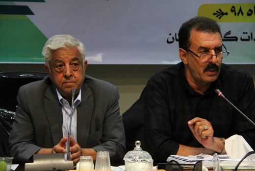 اجرای طرح ملی گندم بنیان خون تازه‌ای در رگ‌های بخش کشاورزی خوزستان است