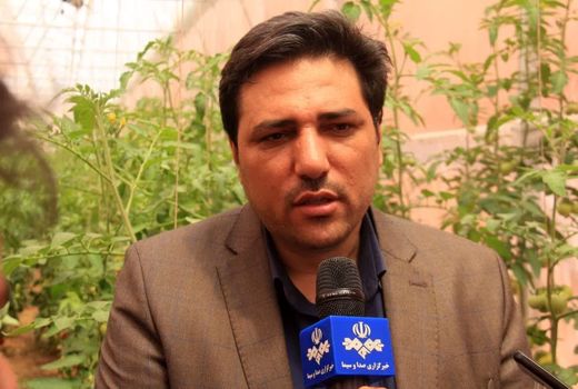 برنامه‌ریزی برای افزایش سالانه ۲.۵ درصد تولید در محصولات کشاورزی