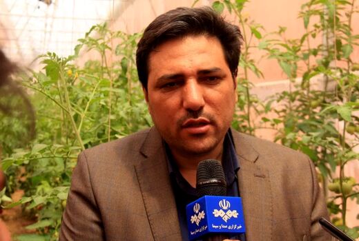 برنامه‌ریزی برای افزایش سالانه ۲.۵ درصد تولید در محصولات کشاورزی