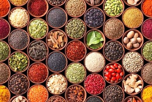 پرداخت 1 هزار میلیارد تومان تسهیلات ارزان برای توسعه گیاهان دارویی در سال جاری
