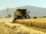 آغاز کشت پاییزه گندم در ۹۰۰۰ هکتار عرصه‌های زراعی یزد