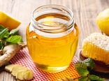 نظارت بر تولید، بسته‌بندی و عرضه عسل از وظایف قانونی سازمان دامپزشکی است