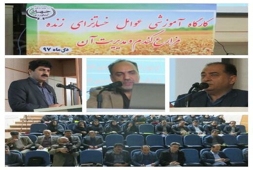 برگزاری کارگاه آموزشی عوامل خسارتزای زنده مزارع گندم