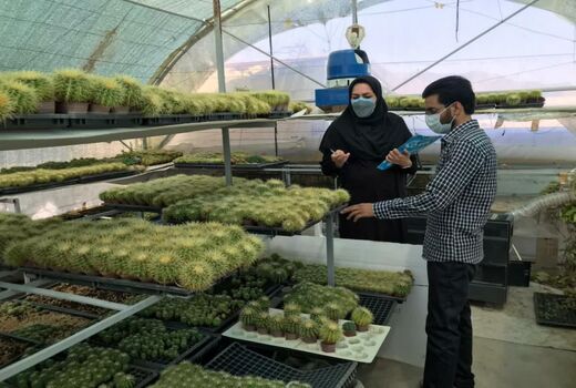 تخصیص ۶۸۰۰ میلیون ریال تسهیلات مشاغل خانگی در شهرستان سامان