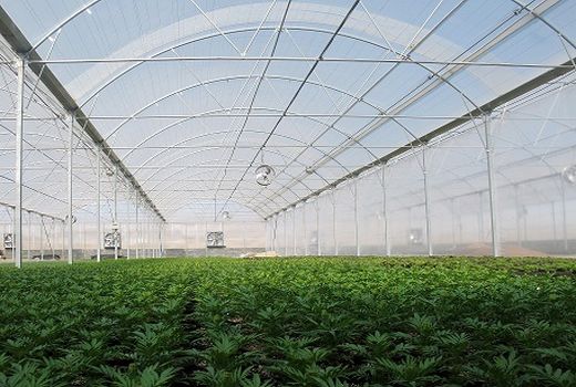 احداث گلخانه و فنس کشی باغات، تغییر کاربری نیست