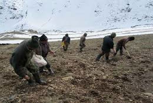 عملیات بیولوژیک در 450 هکتار حوزه آبخیز دامغان اجرا شد