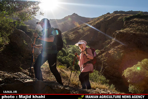 کوه پیمایی تفریح تهرانی ها