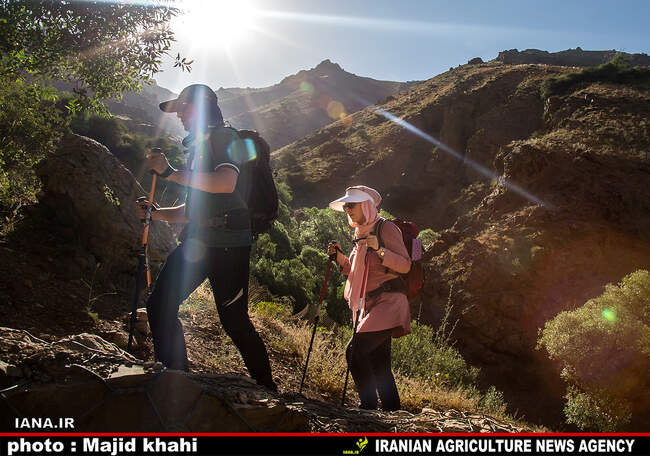 کوه پیمایی