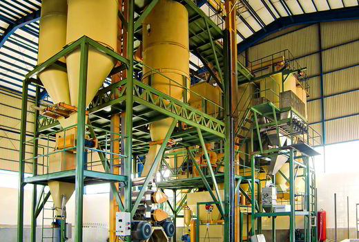 با ۳۰ درصد ظرفیت فعالیت میکنیم/ برچسب‌گذاری شفاف اعتماد دامداران را جلب می‌کند